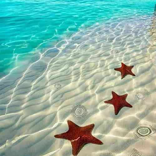 سجاد اخروی خدایا خستیوم از چاکو زخما چرا فارغ نمیشه